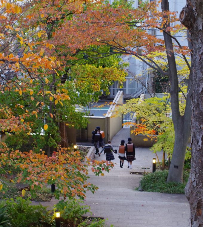 学びの先に、未来を描ける人に。
