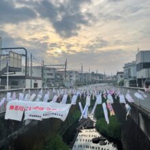 神田川こいのぼり祭りに参加しています