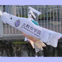神田川こいのぼり祭りに参加しました