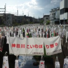 第18回神田川こいのぼり祭りに参加しています