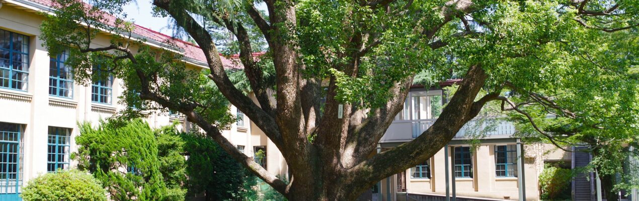 〈創立150周年記念募金〉立教女学院未来創造募金