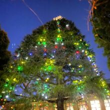 CHRISTMAS GREETINGS 2025