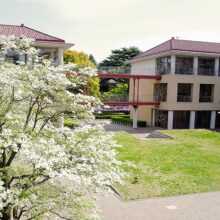 立教女学院小学校 教員募集について