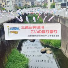 第19回 三鷹台 神田川こいのぼり祭りに参加しています